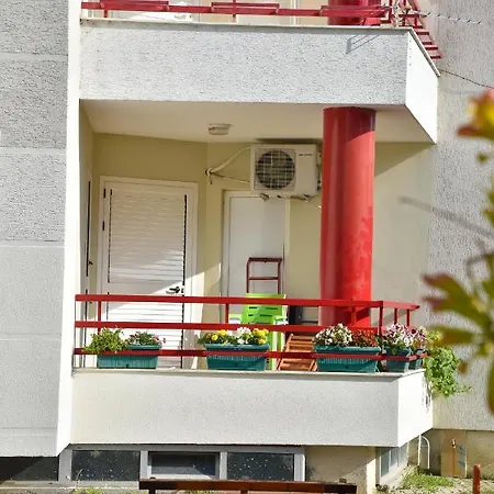 Apartman Flowers *